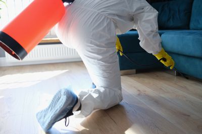 Fumigation Service in Ann Arbor, MI