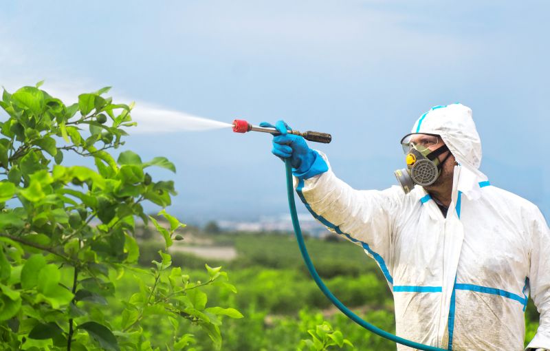 Pest Fumigation Service in Coeur D Alene, ID